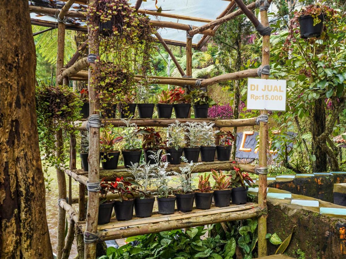 Oyo Homes 90915 Eco Tourism Desa Cihanjuang Rahayu Ciwangun Indah Camp Villas Bongkar Eksteriør bilde