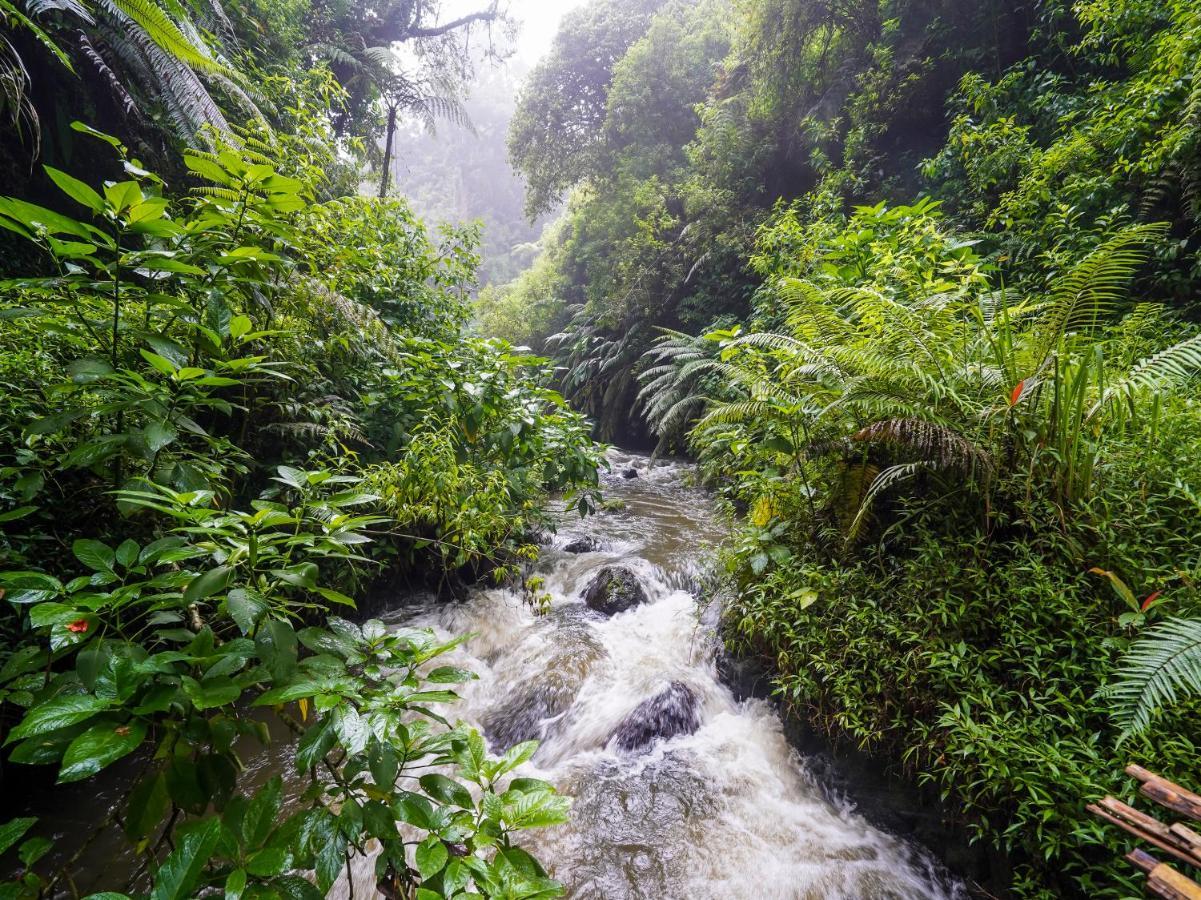 Oyo Homes 90915 Eco Tourism Desa Cihanjuang Rahayu Ciwangun Indah Camp Villas Bongkar Eksteriør bilde