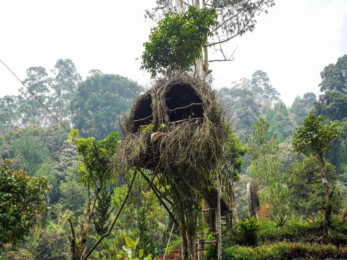 Oyo Homes 90915 Eco Tourism Desa Cihanjuang Rahayu Ciwangun Indah Camp Villas Bongkar Eksteriør bilde