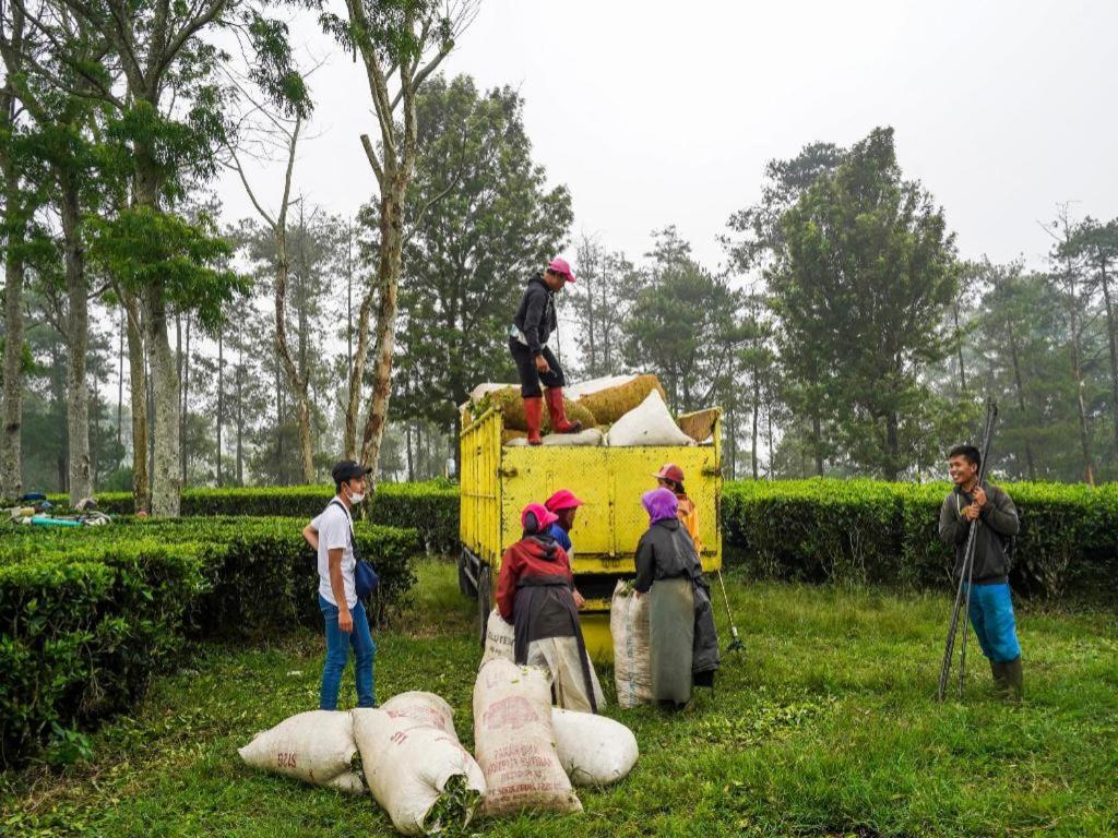 Oyo Homes 90915 Eco Tourism Desa Cihanjuang Rahayu Ciwangun Indah Camp Villas Bongkar Eksteriør bilde